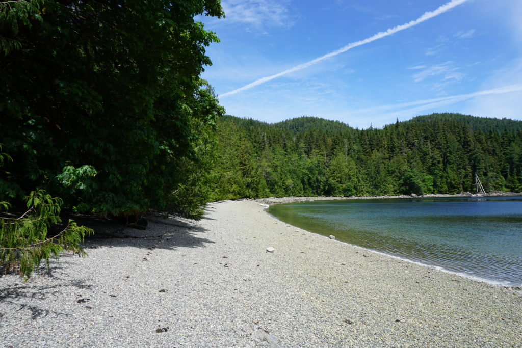 Beach at Forward Harbour